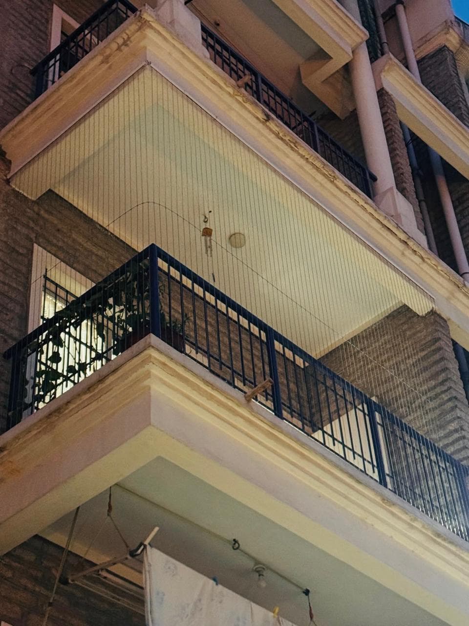 SVR Enterprises Pet Invisible Grills Chennai
